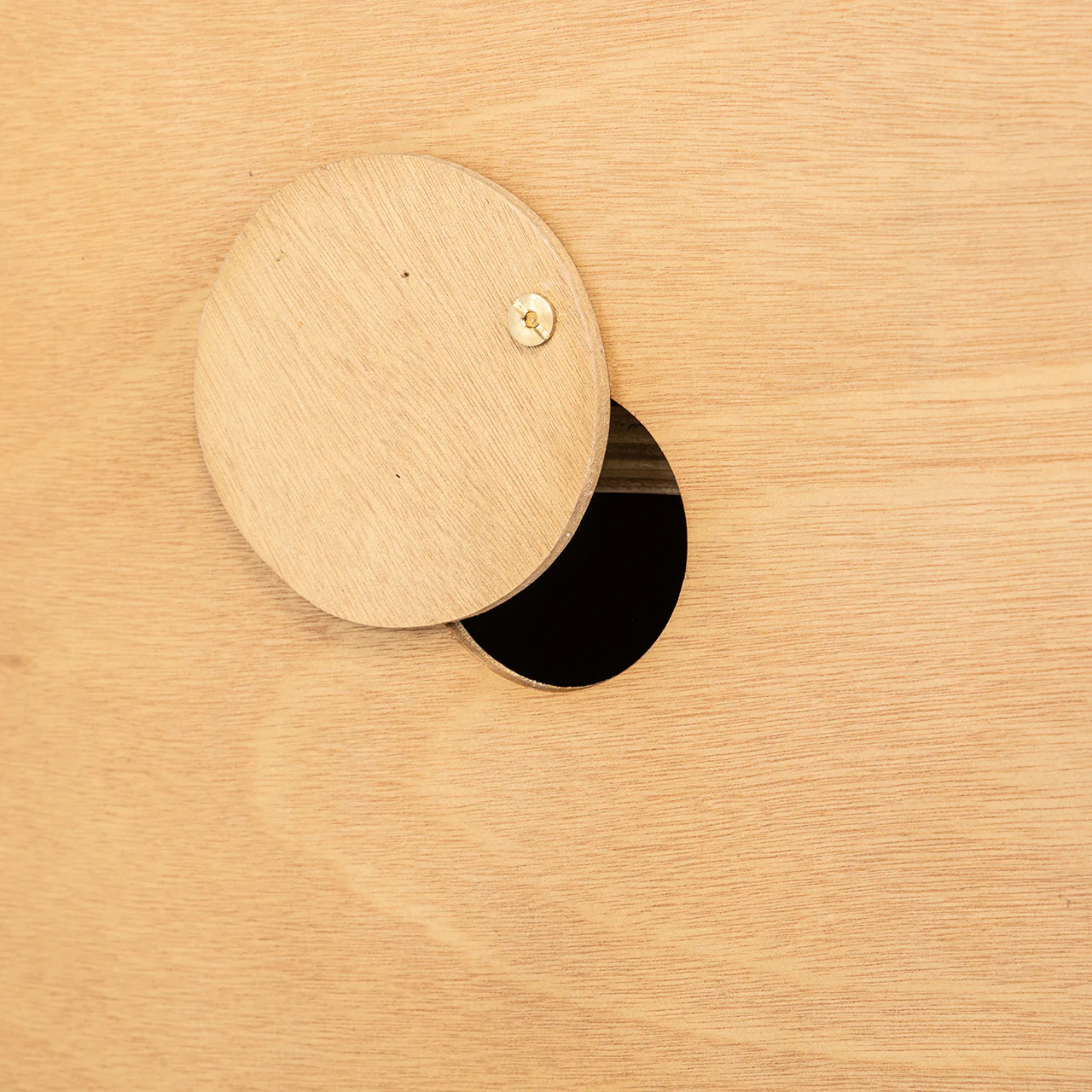 TV-Möbel Belfort 4-türig (Natural oak) - Image 8