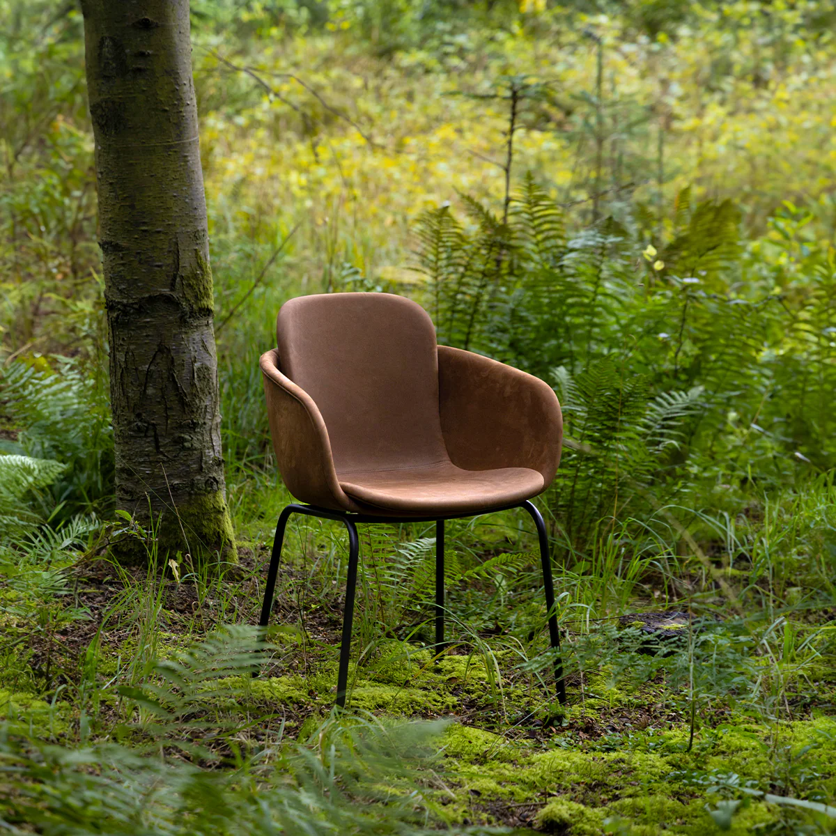 Essstuhl no. One S2 - Luna Walnut - Image 3